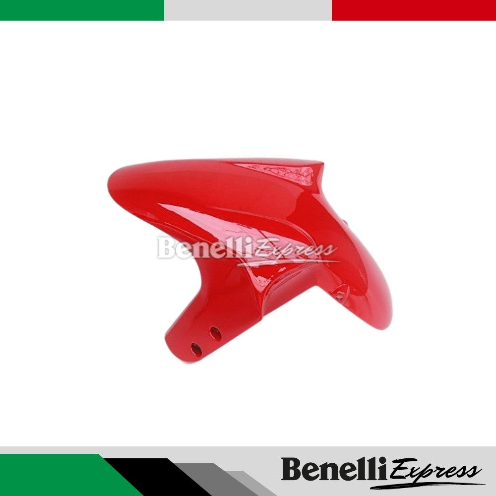 Benelli Tnt300 249s front mudguard fender Motorcycle Spare Parts