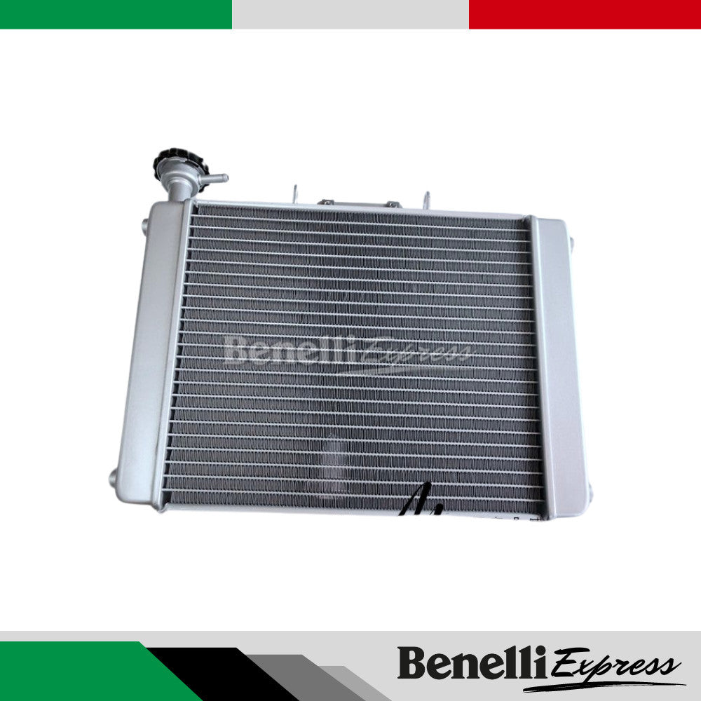 Motorcycle Benelli 502c Radiator Water Tank Radiator Assembly Water Tank Assembly Fan