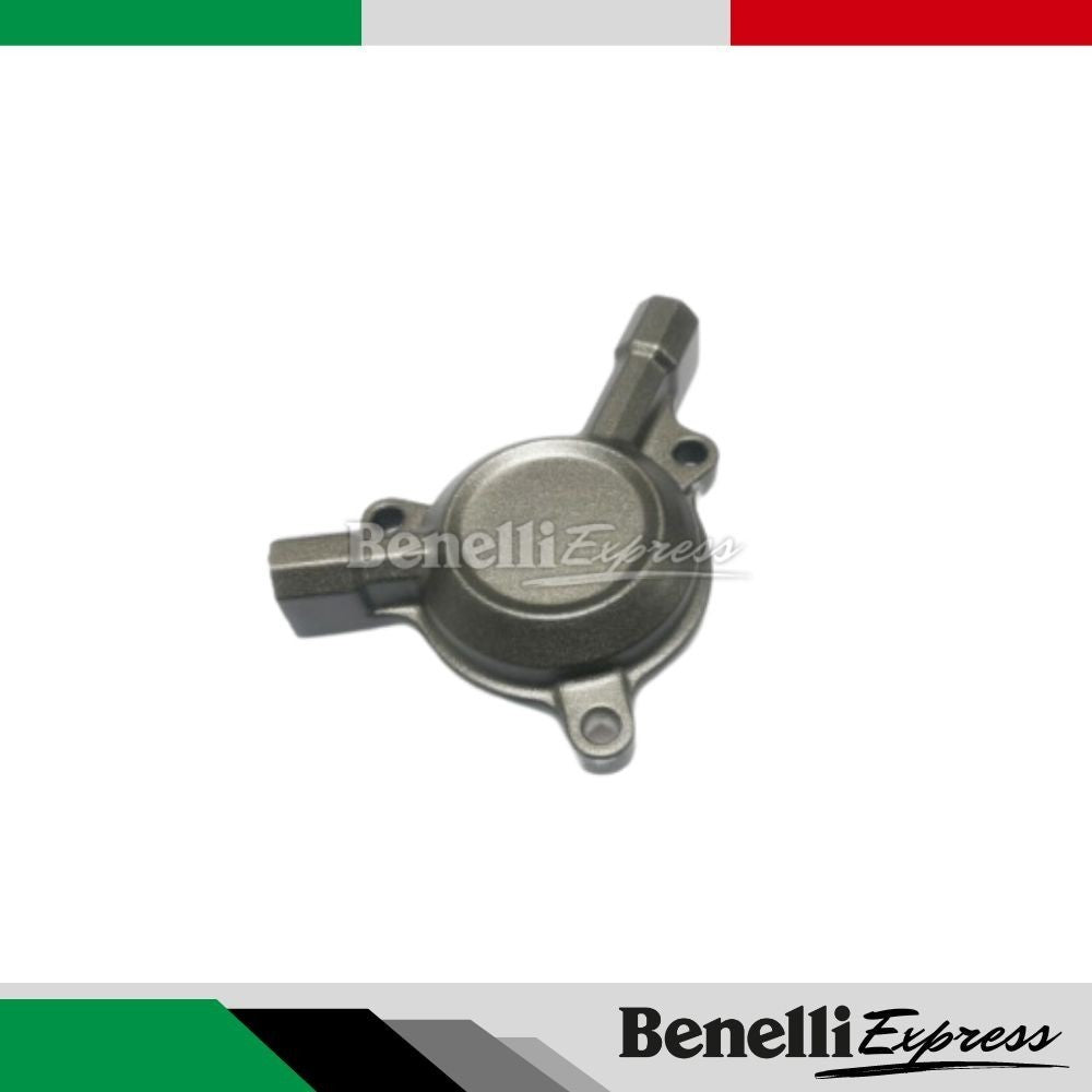 Benelli Tnt25 Trk251 Leoncino 250 Oil Filter Cover