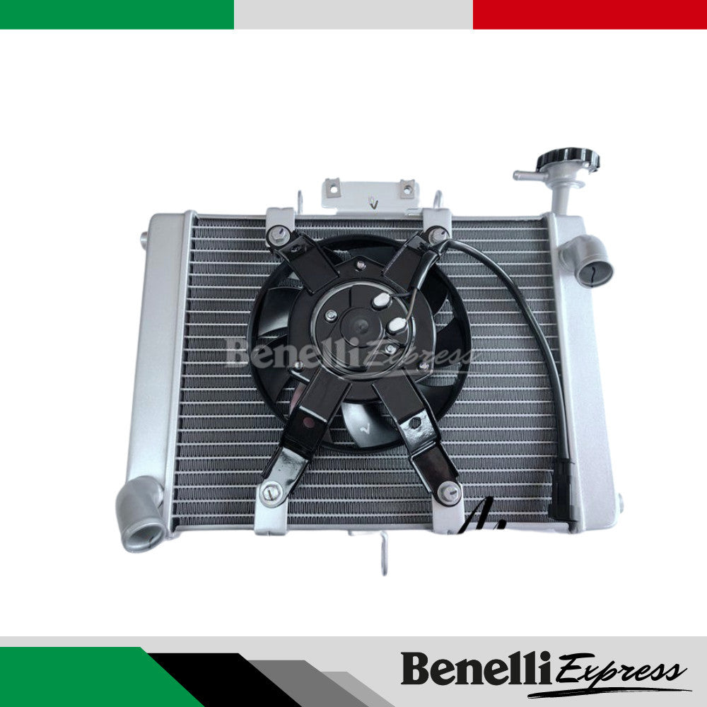 Motorcycle Benelli 502c Radiator Water Tank Radiator Assembly Water Tank Assembly Fan