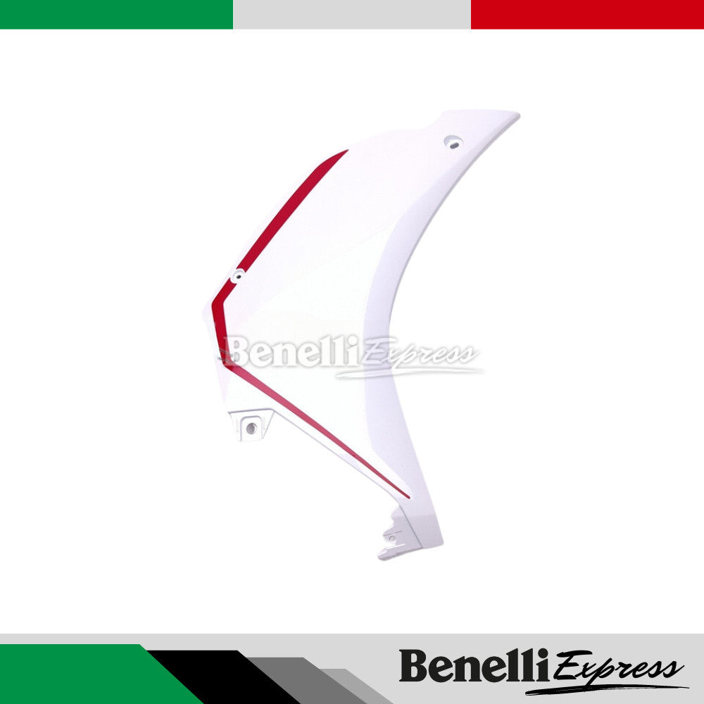 Qjmotor Srk600Rc Left RIght Fairing Cover Engigne Cover