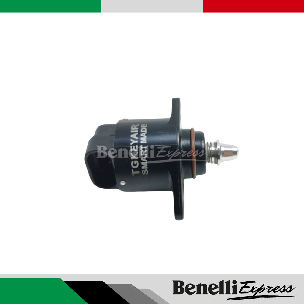 Benelli Tnt25 Trk251 Leoncino 250 Stepper Motor Idle Motor