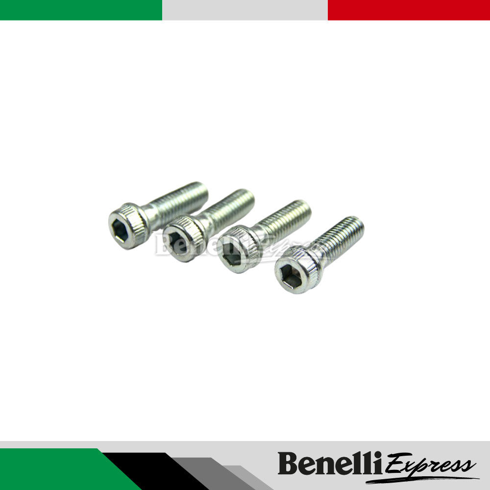 Benelli Leoncino 250 Triple Clamp Fastening Screw Compression Nut Steering Bearing