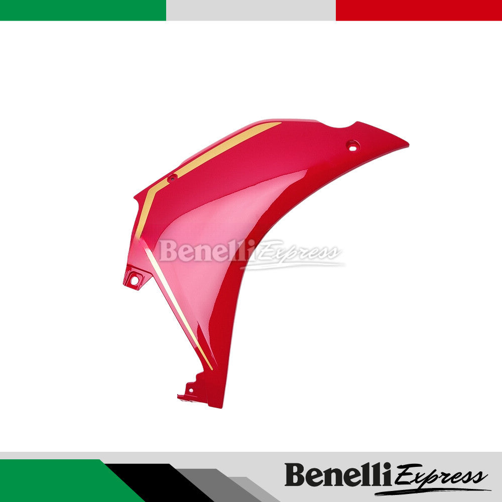 Qjmotor Srk600Rc Left RIght Fairing Cover Engigne Cover