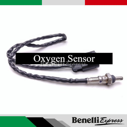 Benelli Tnt600 Tnt300 Qjmotor SRT800 SRK250RR Exhaust Pipe Oxygen sensor O2 sensor 1pcs (OEM/ORI)