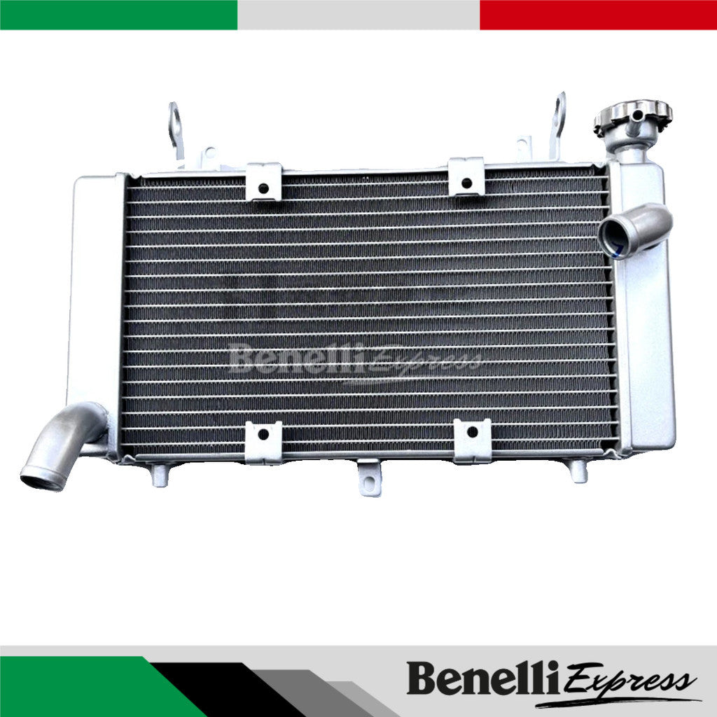 Benelli Radiator TNT600 TNT300 TRK502 752s 502c Trk251 150s SRV250 QJmotor Radiator Fan