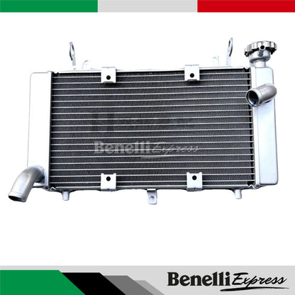 Benelli Radiator TNT600 TNT300 TRK502 752s 502c Trk251 150s SRV250 QJmotor Radiator Fan