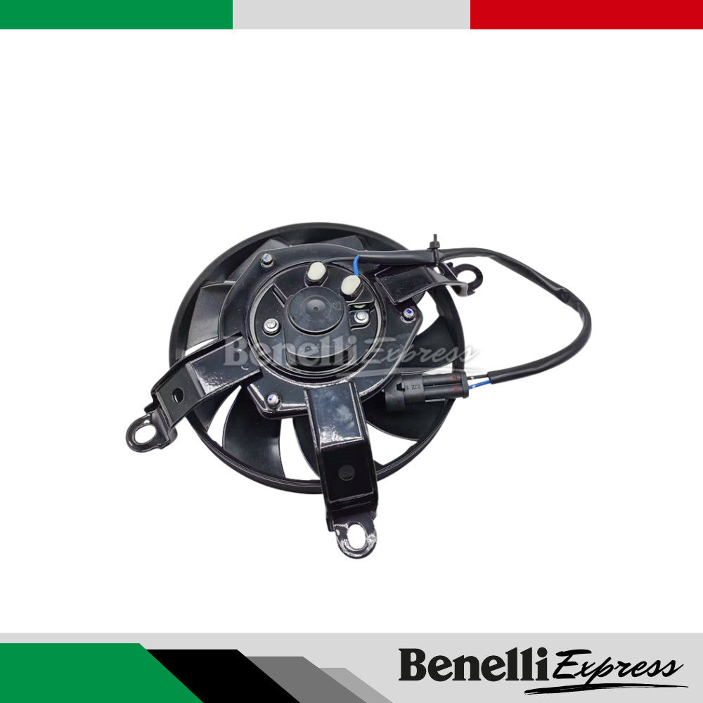 Benelli Radiator TNT600 TNT300 TRK502 752s 502c Trk251 150s SRV250 QJmotor Radiator Fan