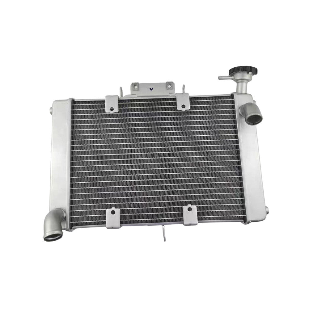 Benelli Radiator TNT600 TNT300 TRK502 752s 502c Trk251 150s SRV250 QJmotor Radiator Fan