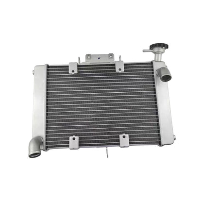 Benelli Radiator TNT600 TNT300 TRK502 752s 502c Trk251 150s SRV250 QJmotor Radiator Fan