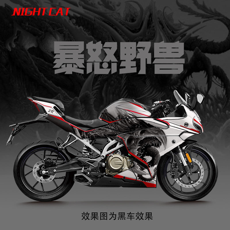 CFMOTO 250SR LITE Body Stickers for 250SR Decal Body Stickers Racing Fairing Modifying 250SR LITE