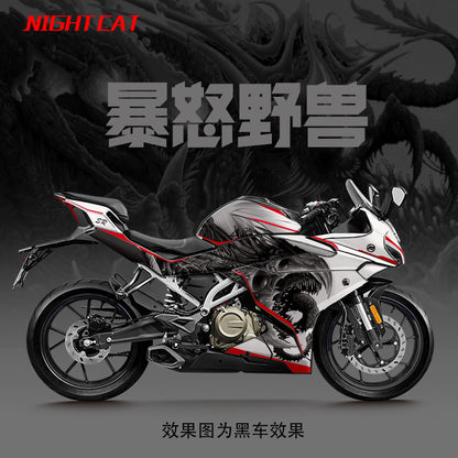 CFMOTO 250SR LITE Body Stickers for 250SR Decal Body Stickers Racing Fairing Modifying 250SR LITE