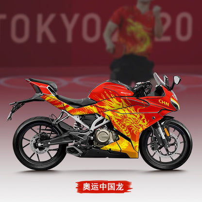 CFMOTO 250SR LITE Body Stickers for 250SR Decal Body Stickers Racing Fairing Modifying 250SR LITE