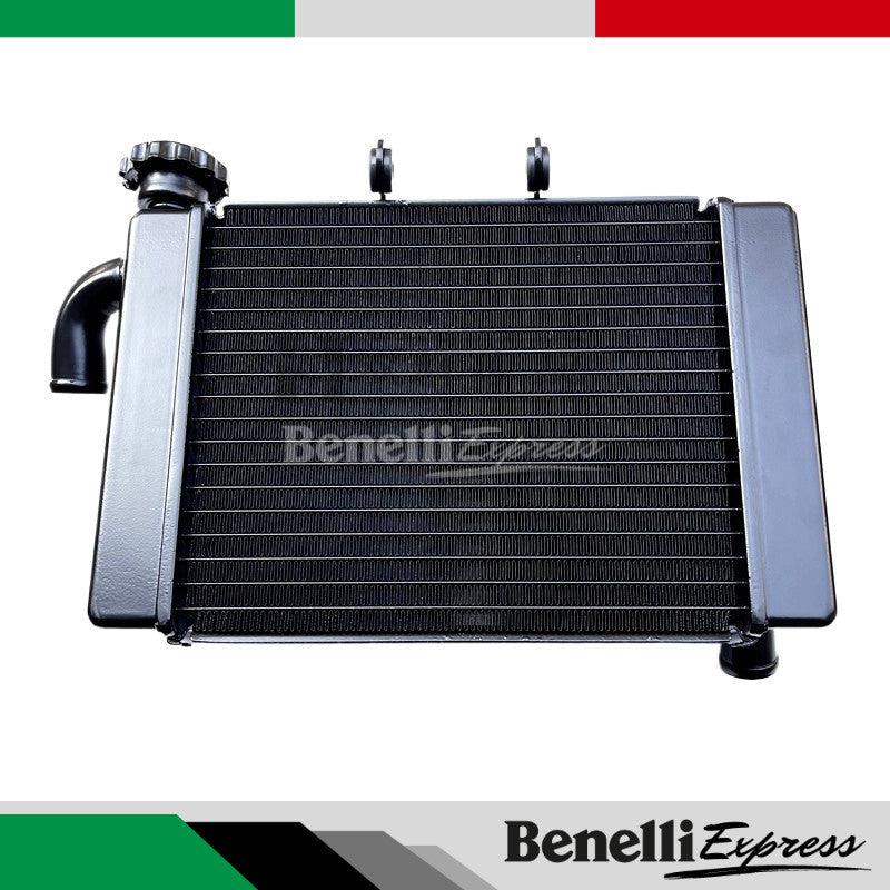Benelli Radiator TNT600 TNT300 TRK502 752s 502c Trk251 150s SRV250 QJmotor Radiator Fan