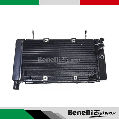 Benelli Radiator TNT600 TNT300 TRK502 752s 502c Trk251 150s SRV250 QJmotor Radiator Fan