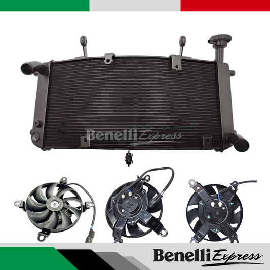 Benelli Radiator TNT600 TNT300 TRK502 752s 502c Trk251 150s SRV250 QJmotor Radiator Fan