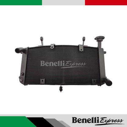Benelli Radiator TNT600 TNT300 TRK502 752s 502c Trk251 150s SRV250 QJmotor Radiator Fan