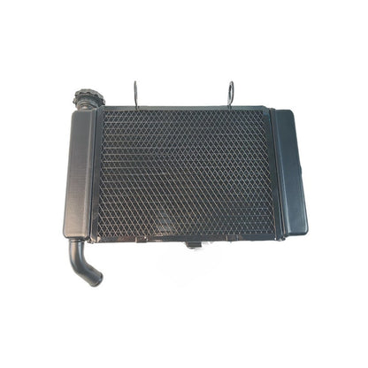 Benelli Radiator TNT600 TNT300 TRK502 752s 502c Trk251 150s SRV250 QJmotor Radiator Fan