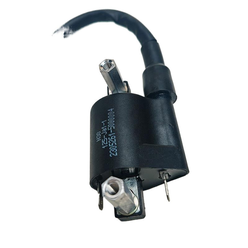 Benelli Leoncino 250 Trk251 Plug Coil Ignition Plug Coil