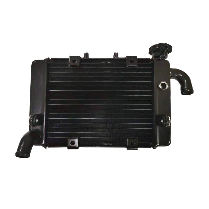 Benelli Radiator TNT600 TNT300 TRK502 752s 502c Trk251 150s SRV250 QJmotor Radiator Fan