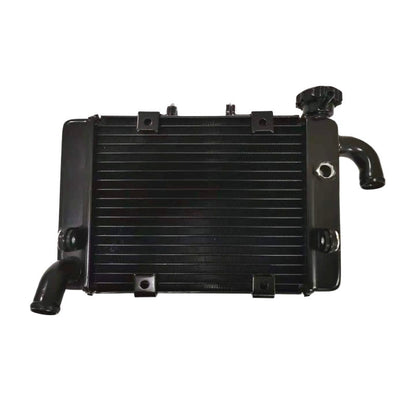 Benelli Radiator TNT600 TNT300 TRK502 752s 502c Trk251 150s SRV250 QJmotor Radiator Fan