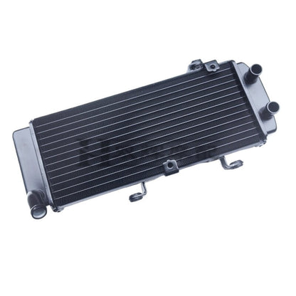 Benelli Radiator TNT600 TNT300 TRK502 752s 502c Trk251 150s SRV250 QJmotor Radiator Fan