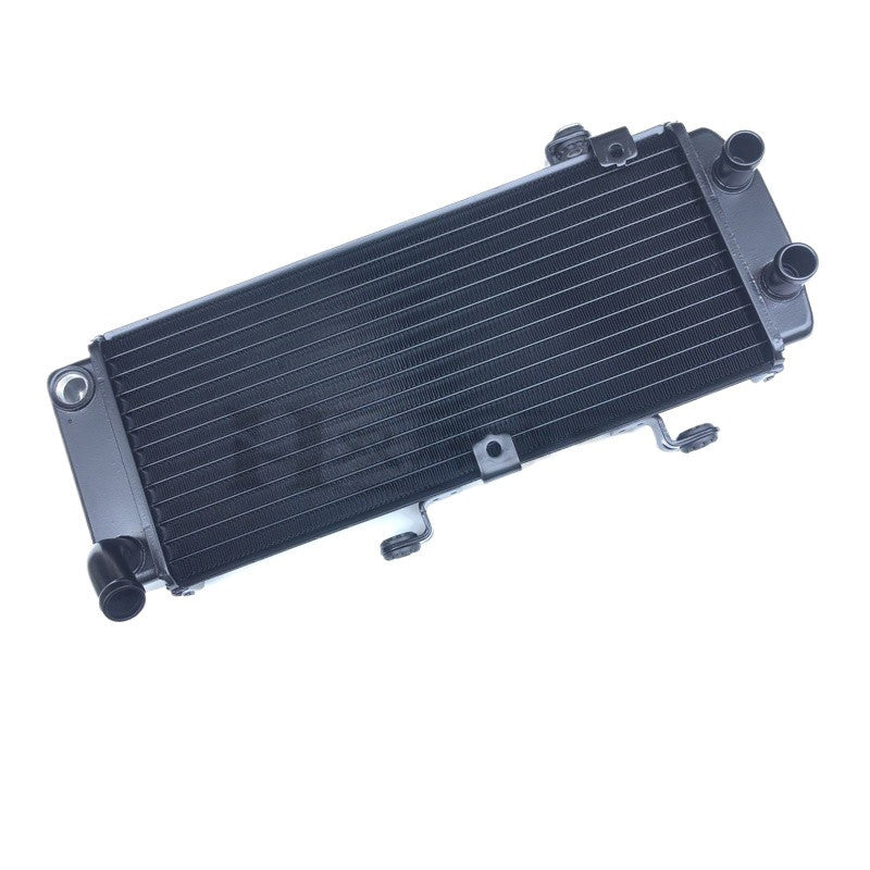 Benelli Radiator TNT600 TNT300 TRK502 752s 502c Trk251 150s SRV250 QJmotor Radiator Fan