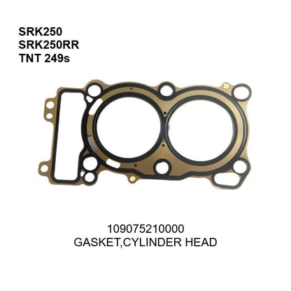 Benelli Gasket Qjmotor Engine Gasket SRK600 Leoncino SRK250 Trk251 TRK502 502X 752s Tnt600 Tnt135