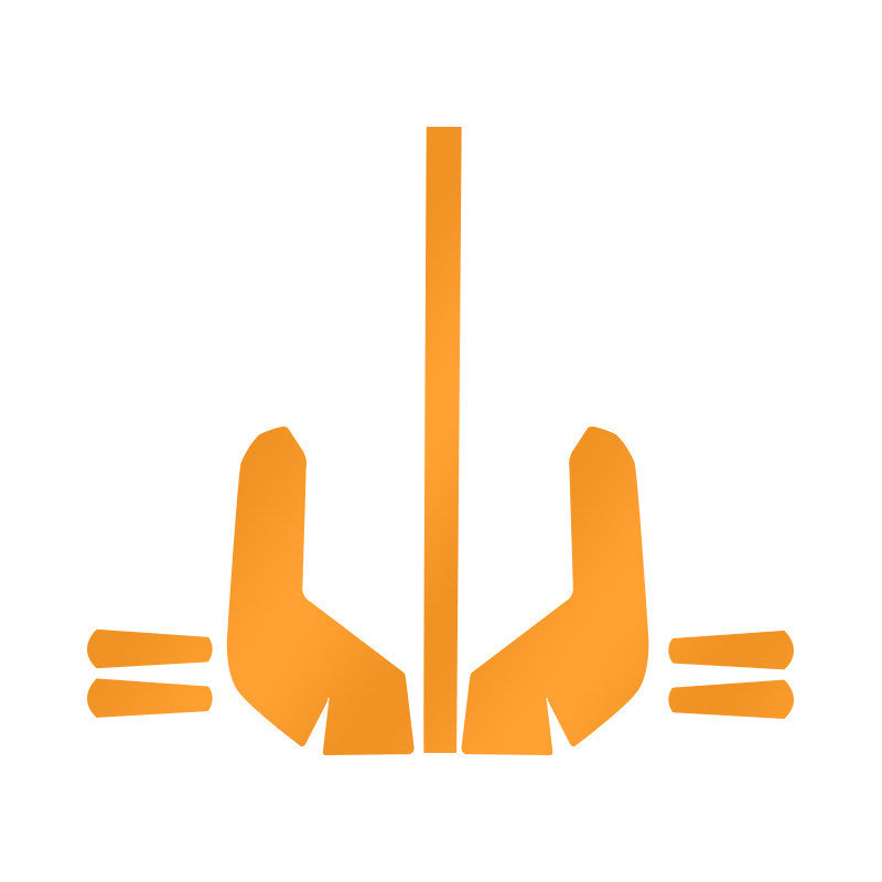 QJMOTOR SRK450RR Headlight Tint Film Tail Light Scratch Guard Sticker Meter Film Accessories